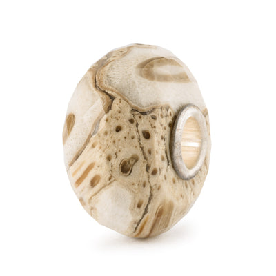 Fossilised Wood Bead