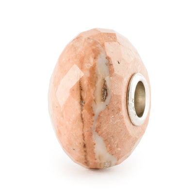 Fossilised Shell Bead