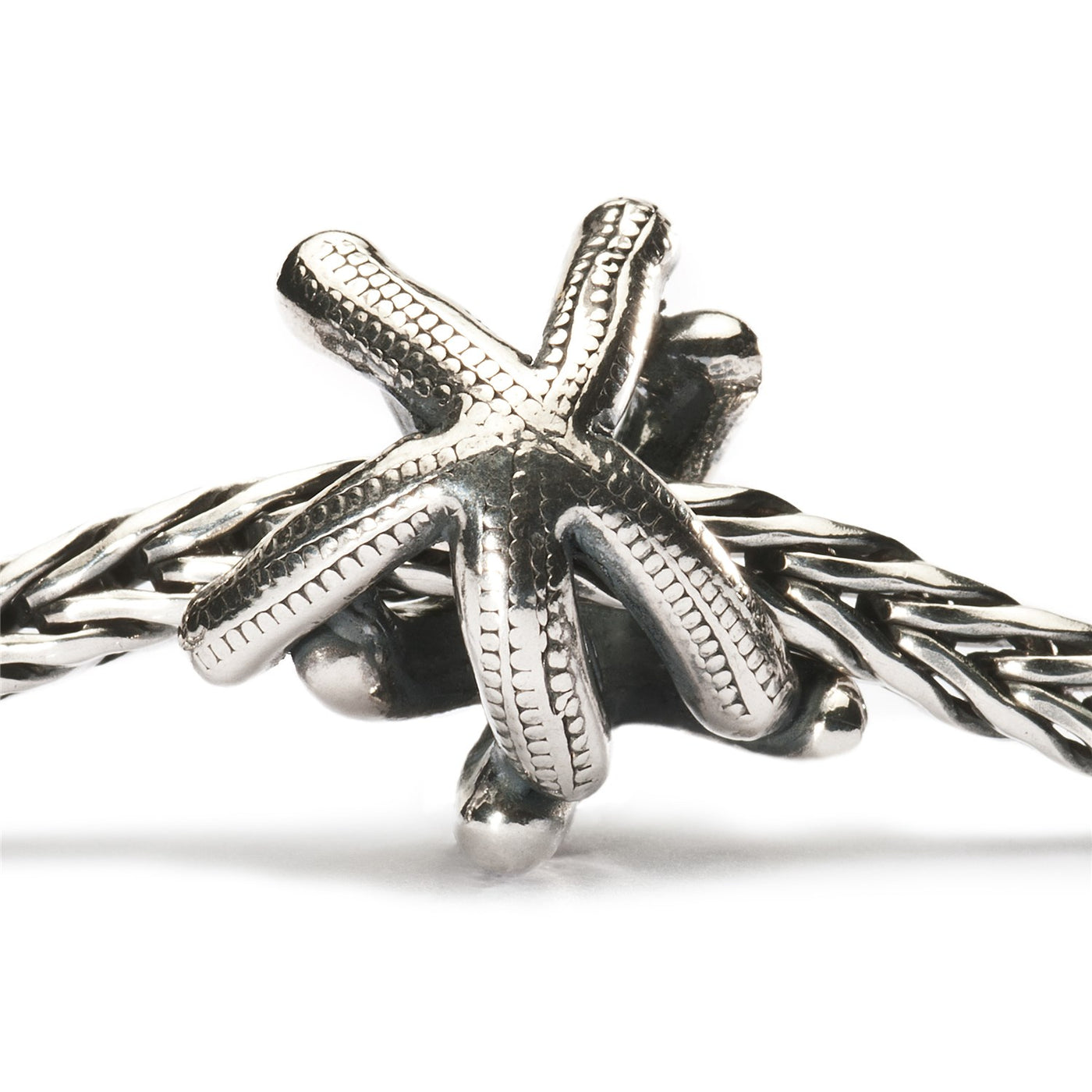 Starfish Bead